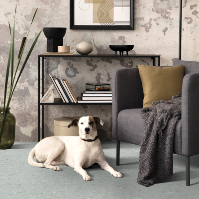 pet-proof design ideas